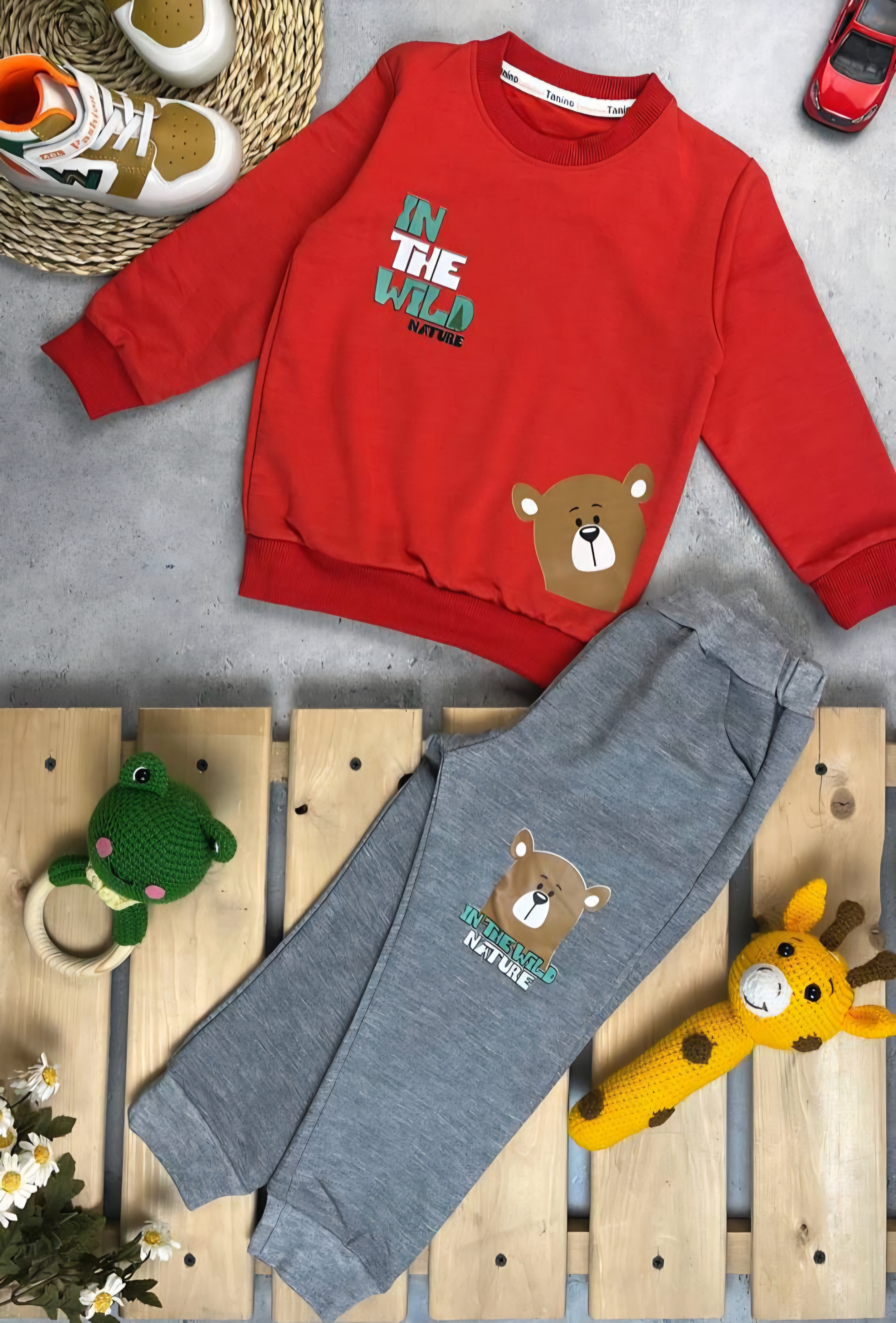 ست پسرانه تدی